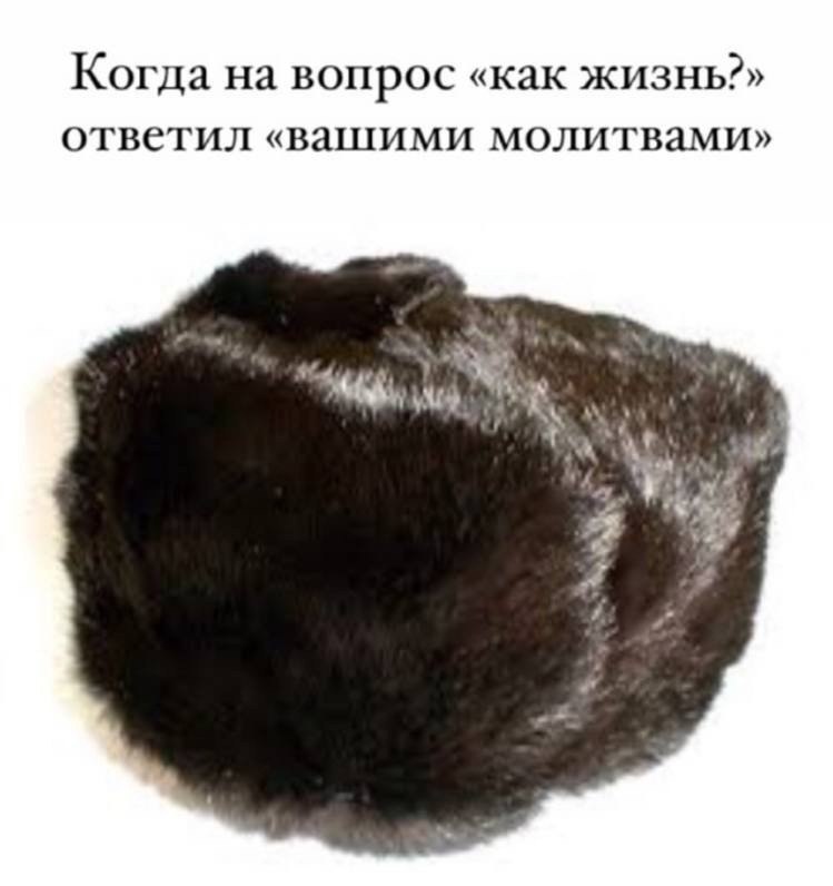 Когда на вопрос «как жизнь?» ответил «вашими молитвами»