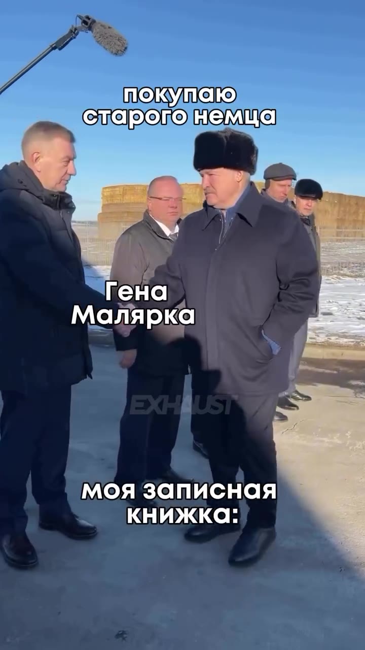 И старогонемцан Малярка р = моя записная сларогонемца ы покупаю Ступичные |