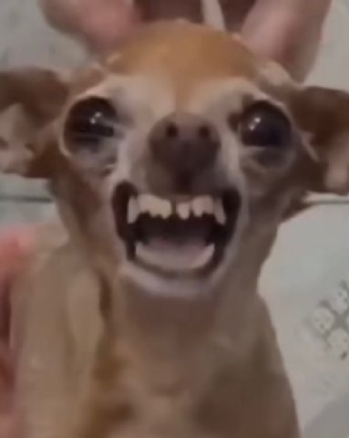 ‘и