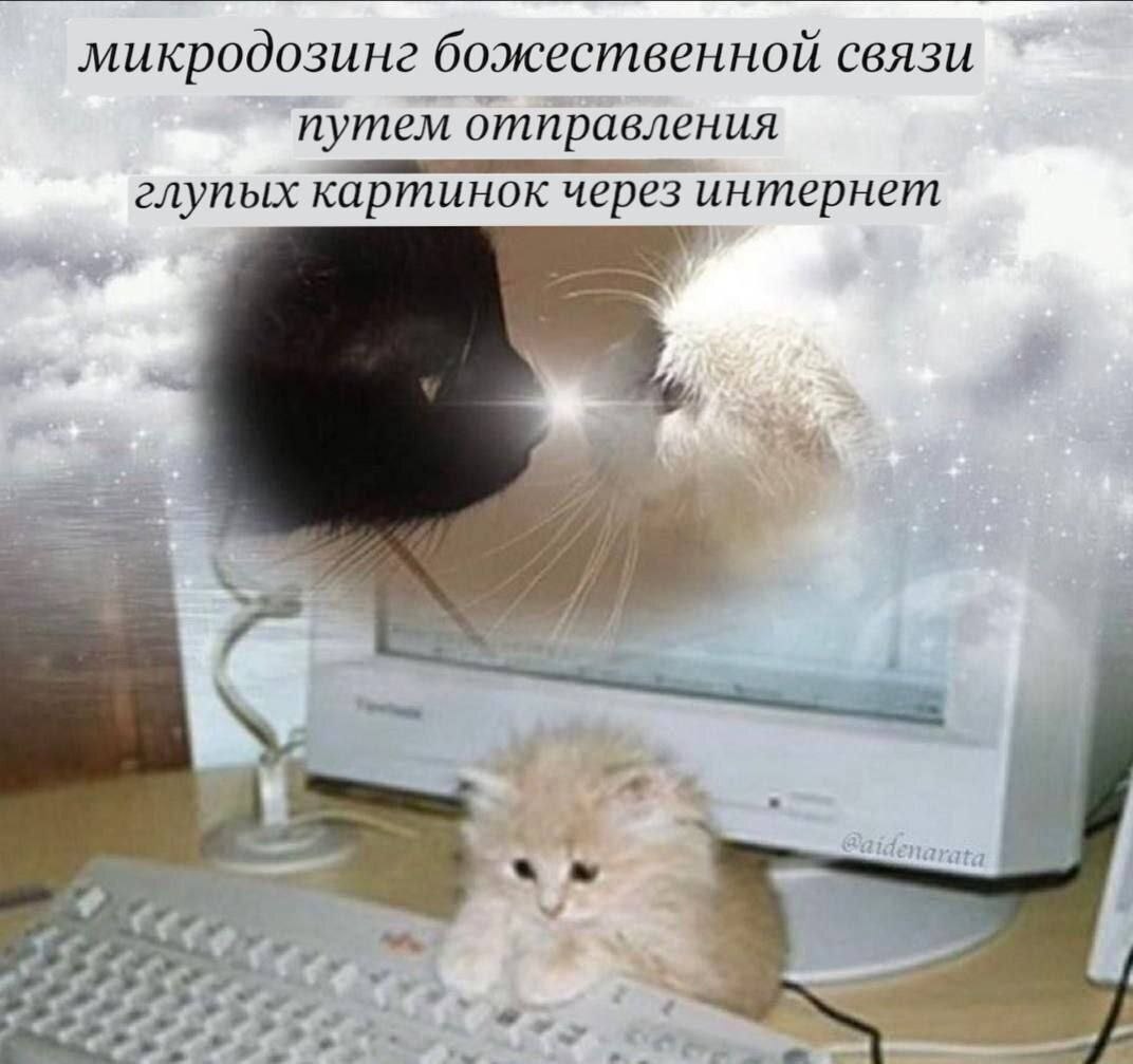 микродозинг божественной связи путем отправления глупых картинок через интернет