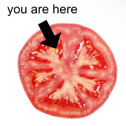 you are here 77
