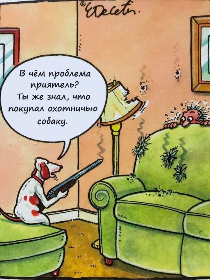 В чём проблема приятлель? Ты же знал, что покупал охотлничью собаку.