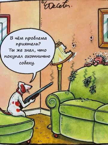 В чём проблема приятлель? Ты же знал, что покупал охотлничью собаку.