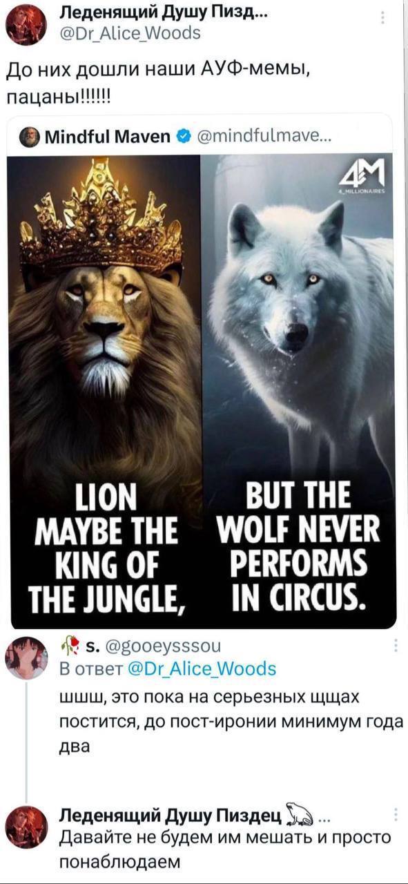 Леденящий Душу Пизд... Alice Woods До них дошли наши АУФ-мемы, пацаны!!! Mindful Maven 5 LION BUT THE MAYBE THE WOLF NEVER KING OF PERFORMS IN CIRCUS. THE JUNGLE, @Zooeysssou В ответ Alice Woods шшиш,