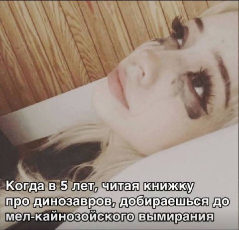 Когда в 5 лет, читая книжку про динозавров, добираешься до мел-каинозойского вымирания