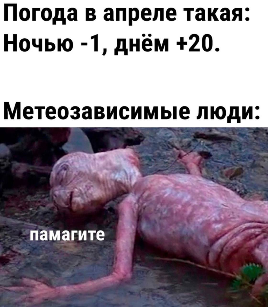 Погода в апреле такая: Ночью -1, днем +20. Метеозависимые люди: памагите
