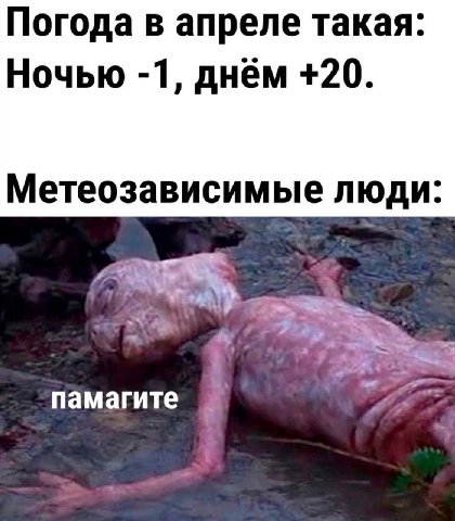 Погода в апреле такая: Ночью -1, днем +20. Метеозависимые люди: памагите