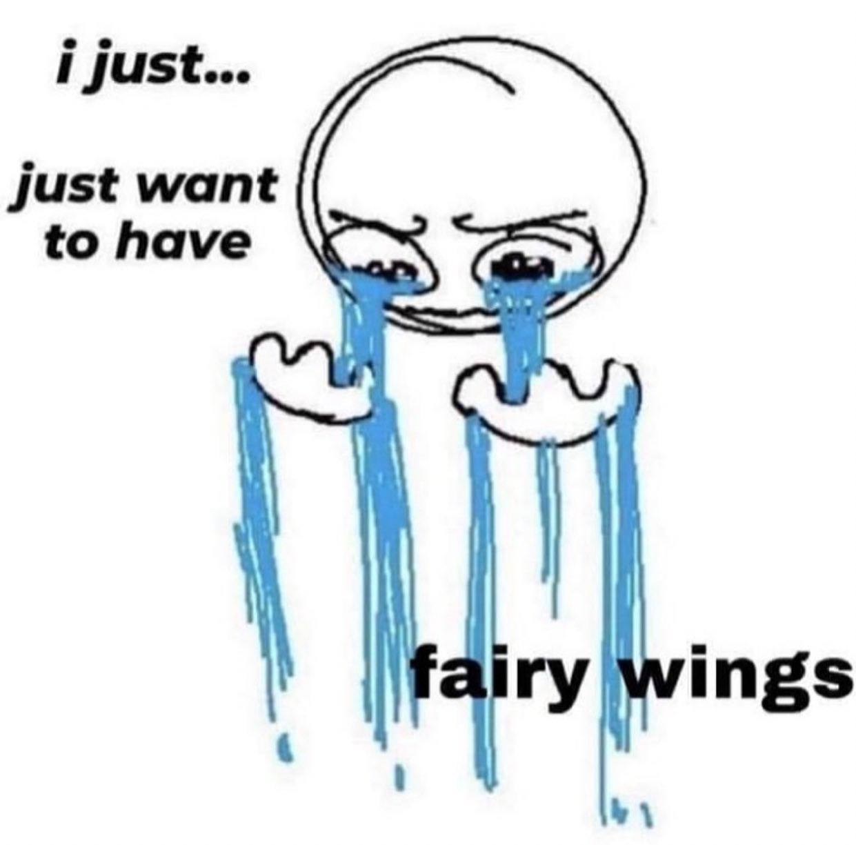 i just... just want to have airy wings
