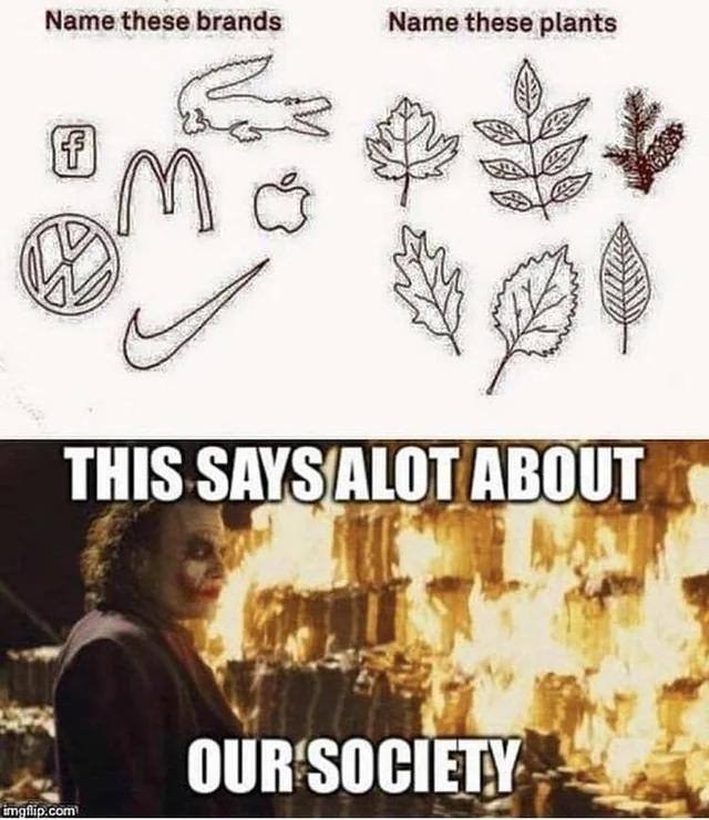 Name these brands Name these plants THIS ALOT ABO OUR'SOCIETY..