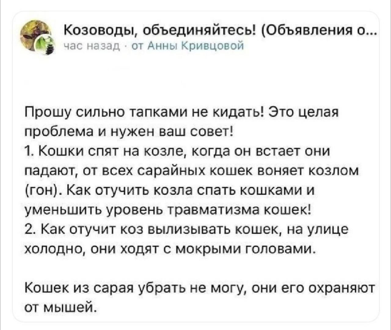 Козоводы, объединяйтесь! (Объявления о час назад от Анны Кривцовой Прошу сильно тапками не кидать! Это целая проблема и нужен ваш совет! 1. Кошки спят на козле, когда он встает они падают, от всех сар