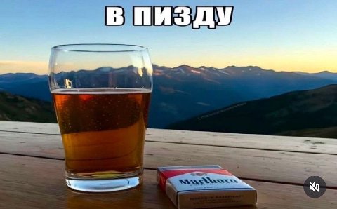 в пизду