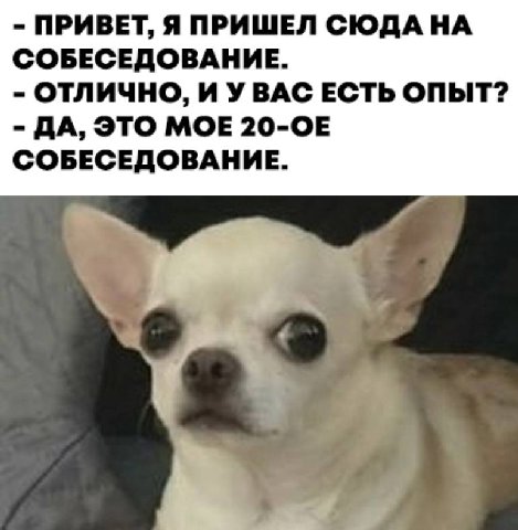 ПРИВЕТ, Я ПРИШЕЛ СЮДА НА СОБЕСЕДОВАНИЕ. ОТЛИЧНО, И УВАС ЕСТЬ ОПЫТ? ДА, ЭТО МОЕ СОБЕСЕДОВАНИЕ.