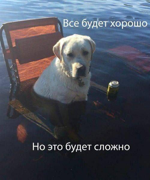 будет хорошо Но это будет сложно