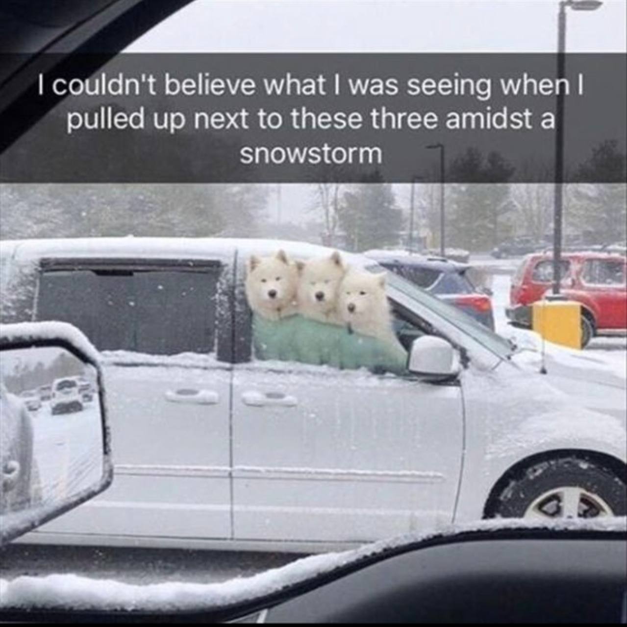 couldn't believe what was seeing when pulled up next to these three amidst a snowstorm a