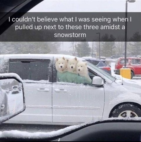 couldn't believe what was seeing when pulled up next to these three amidst a snowstorm a