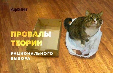 4 ПРОВАЛЬ ТЕОРИИ 44 a РАЦИОНАЛЬНОГО ВЫБОРА