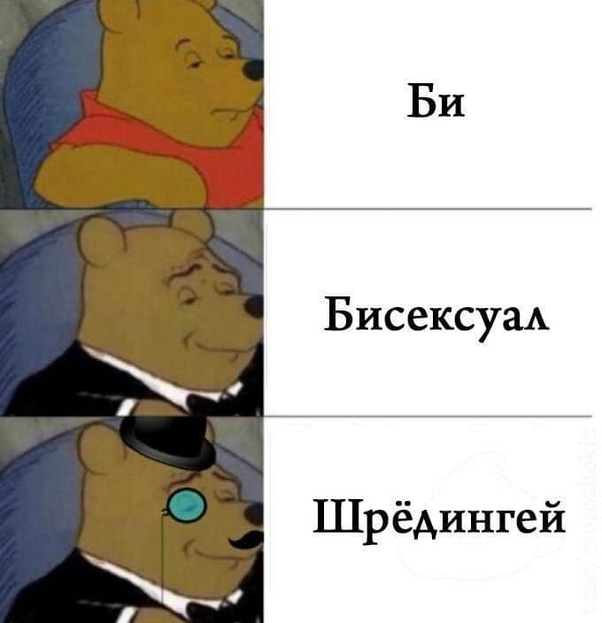 Бисексуал Шрёдингей