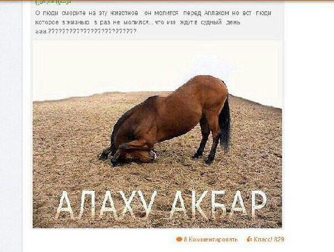 О люди сморите на эту животное он молится перед Аллахом но ест люди которое вжизнью в раз не молился... что ждутв судный день 2% in) 3 Комментировать Класс! 329