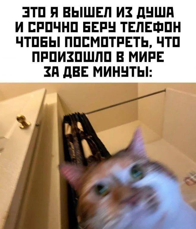 ЭТО Я ВЫШЕЛ ДУША И СРОЧНО БЕРУ ТЕЛЕФОН ЧТОБЫ ПОСМОТРЕТЬ, ЧТО ПРОИЗОШЛО В МИРЕ ДВЕ МИНУТЫ:
