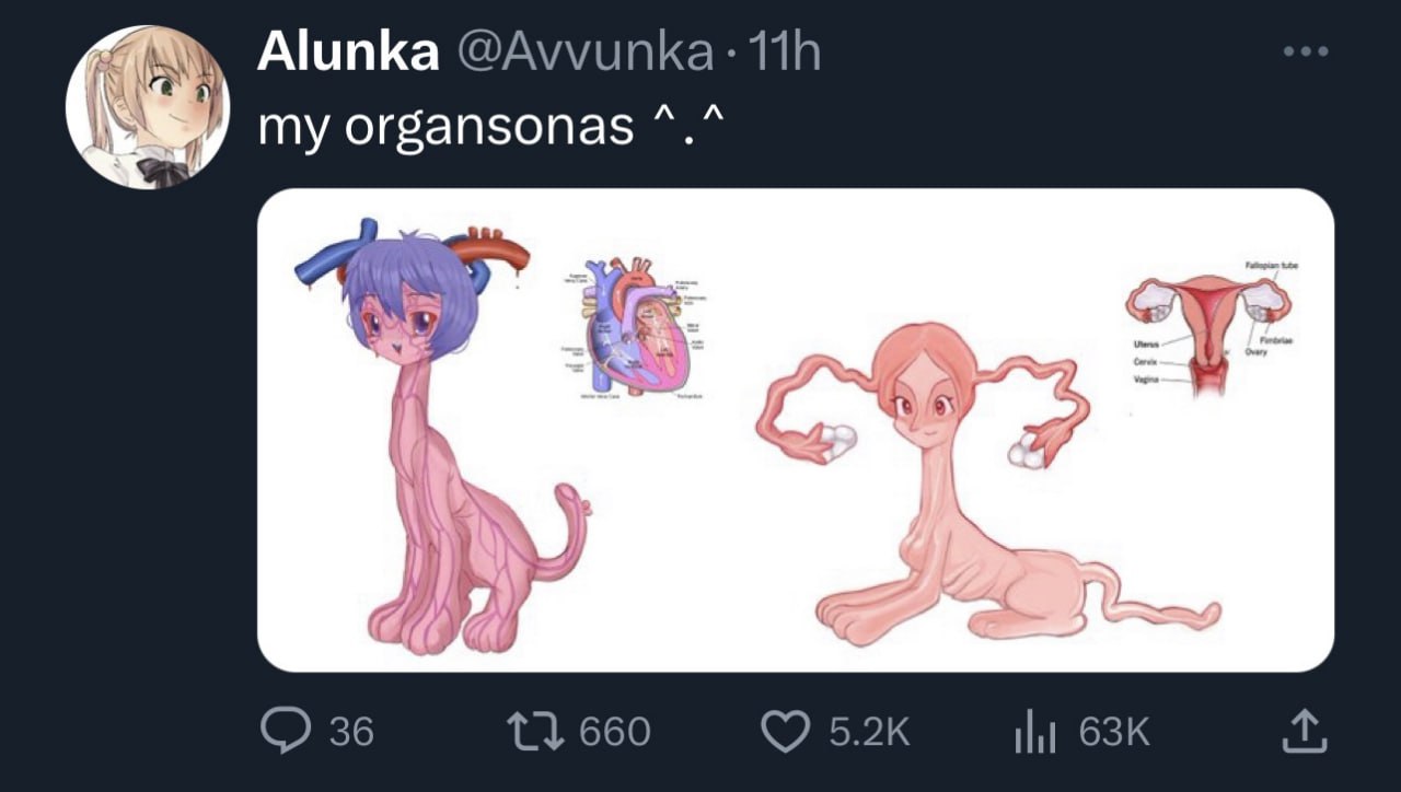 Alunka @Avvunka: A A My organsonas 7 on 36 660 Ни