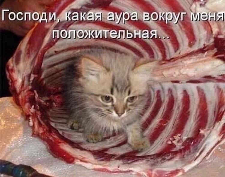 Господи, какая аура вокруг Меня положительная... a