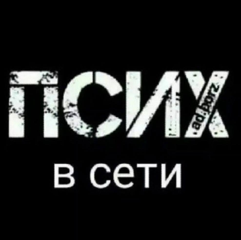 в сети