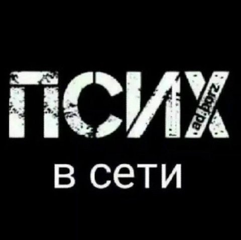 в сети