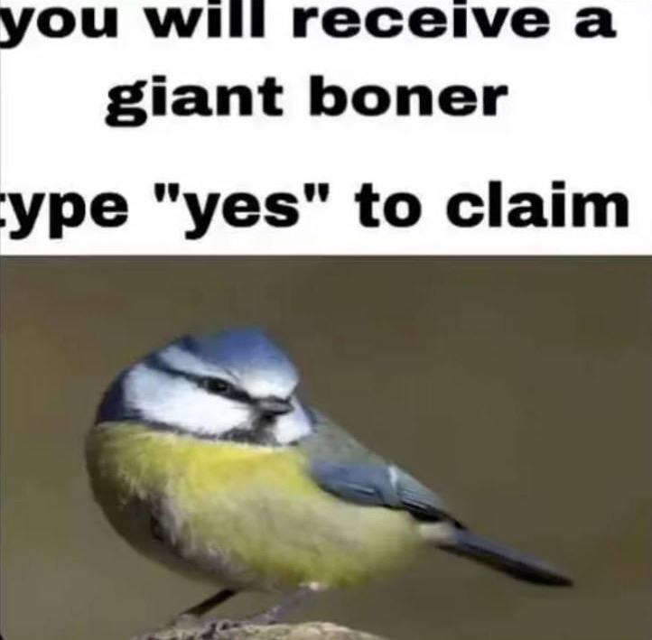 you receive а giant boner ype "yes" to claim