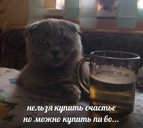 нельзя купить счастье но моэкно купить