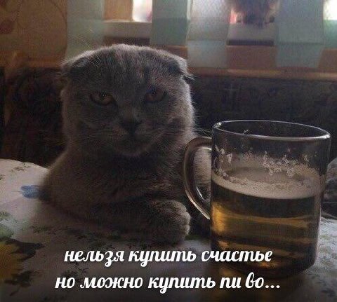 нельзя купить счастье но моэкно купить