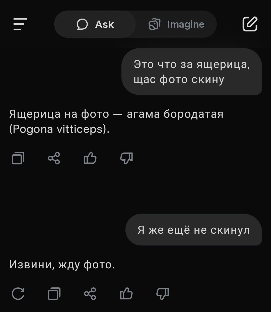Ask Imagine Это что за ящерица, щас фото скину Ящерица на фото агама бородатая (Pogona vitticeps). Я же ещё не скинул Извини, жду фото. с