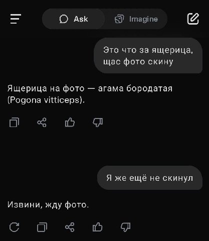 Ask Imagine Это что за ящерица, щас фото скину Ящерица на фото агама бородатая (Pogona vitticeps). Я же ещё не скинул Извини, жду фото. с