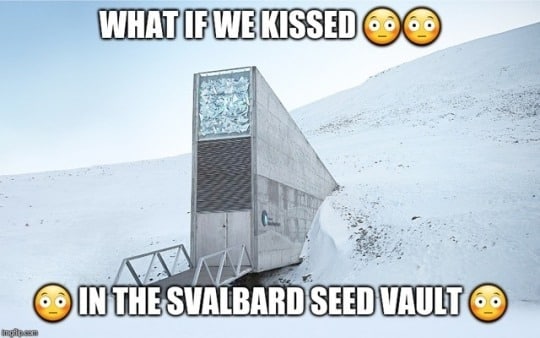 WHAT/IRWEIKISSED[@ @) 2 | 4 ee : = =. Эм = INJTHE.SVALBARDISEEDWAULT(@®