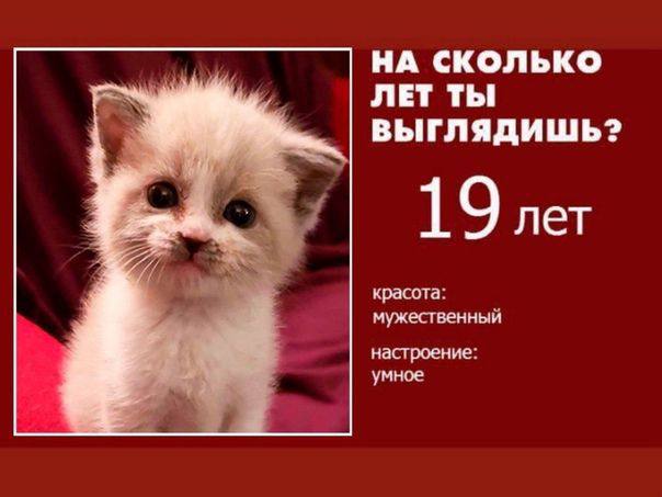 НА СКОЛЬКО ЛЕТ ТЫ ВЫГЛЯДИШЬ? 19 лет красота: мужественный настроение: умное