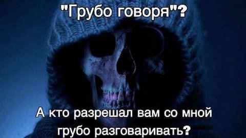 "Грубо говоря"? А кто разрешал вам мной грубо разговаривать?