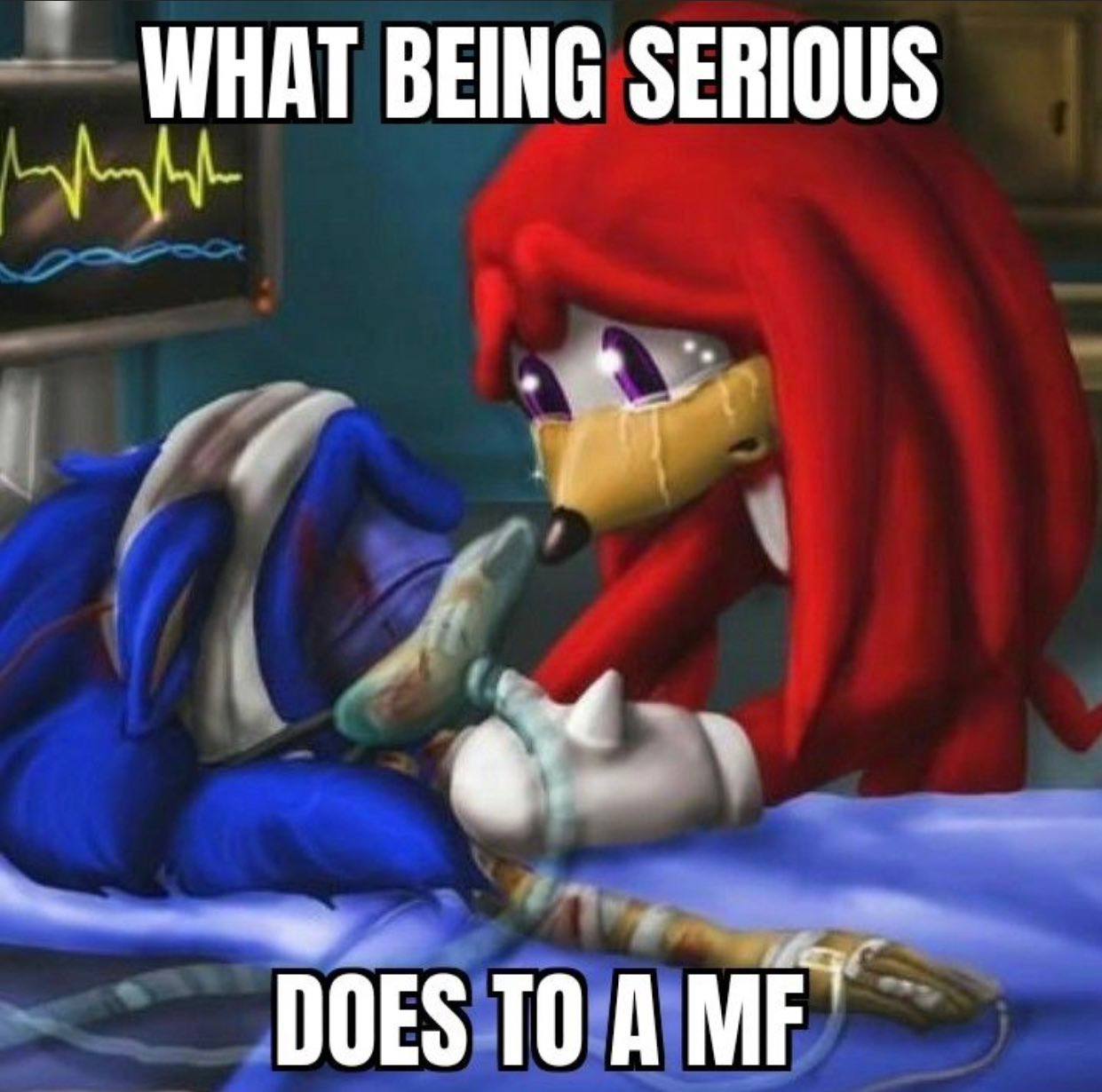 WHAT BEING SERIOUS DOES