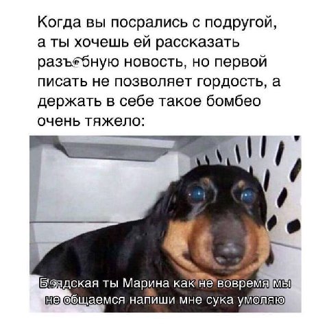 Когда вы посрались с подругой, а ты хочешь рассказать разъебную новость, но первой писать не позволяет гордость, а держать в себе такое бомбео очень тяжело: ‘о ты Марина необщаемся напиши мне сука умо