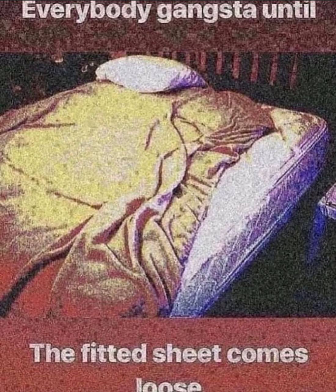 Everybody The fitted sheet comes