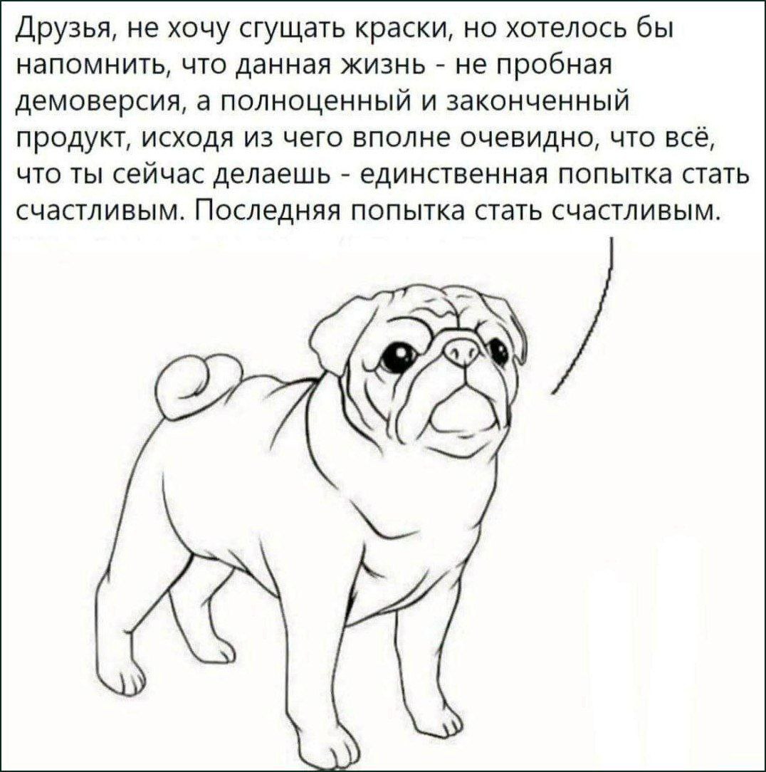 Друзья, не хочу сгущать краски, но хотелось бы напомнить, что данная жизнь не пробная демоверсия, а полноценный и законченный продукт, исходя из чего вполне очевидно, что всё, что ты сейчас делаешь ед