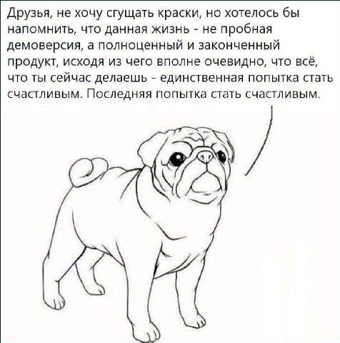 Друзья, не хочу сгущать краски, но хотелось бы напомнить, что данная жизнь не пробная демоверсия, а полноценный и законченный продукт, исходя из чего вполне очевидно, что всё, что ты сейчас делаешь ед