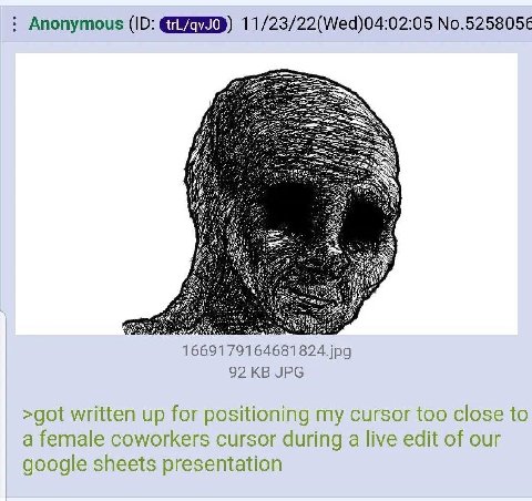 Anonymous 11/23/22(Wed)04:02:05 №.5258056 92 JPG >got written up for positioning my cursor too close to a female coworkers cursor during a live edit of our google sheets presentation