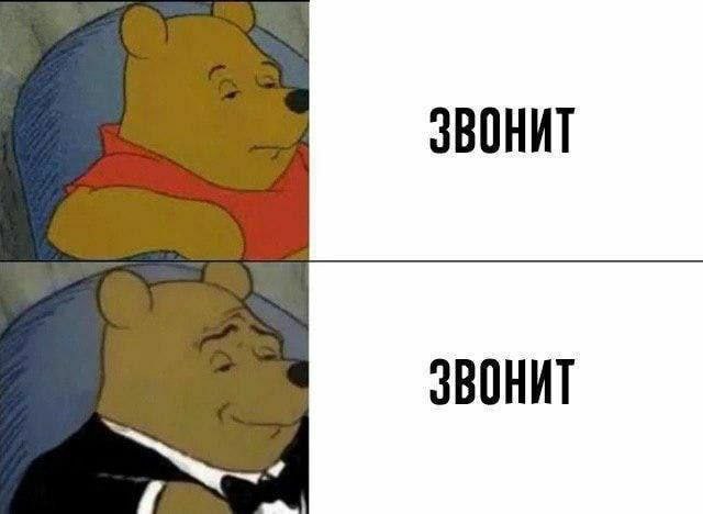 ЗВОНИТ ЗВОНИТ