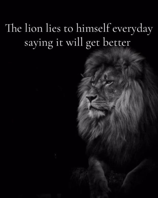 The lion lies to himself everyday saying it will get better Я