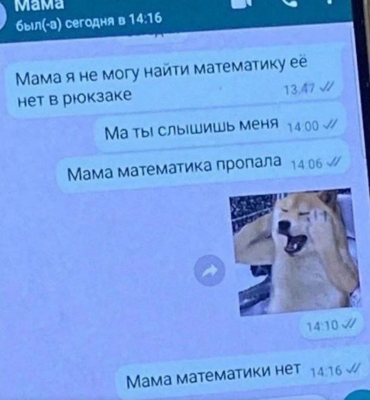 сегодня в 14:16 Мамая не могу ити математику ее 4 нет в рюкзаке Маты слышишь MEH 14 Мама математика пропала 1406 we инет 4 Mama математик