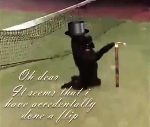 gm!