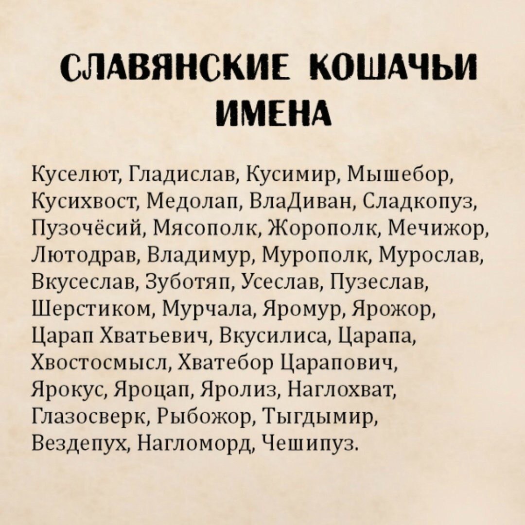 СЛАВЯНСКИЕ КОШАЧЬИ ИМЕНА Куселют, Гладислав, Kycumup, Мышебор, Кусихвост, Медолап, ВлаДиван, Сладкопуз, Пузочёсий, Мясополк, Жорополк, Мечижор, Лютодрав, Владимур, Мурополк, Мурослав, Вкусеслав, Зубот