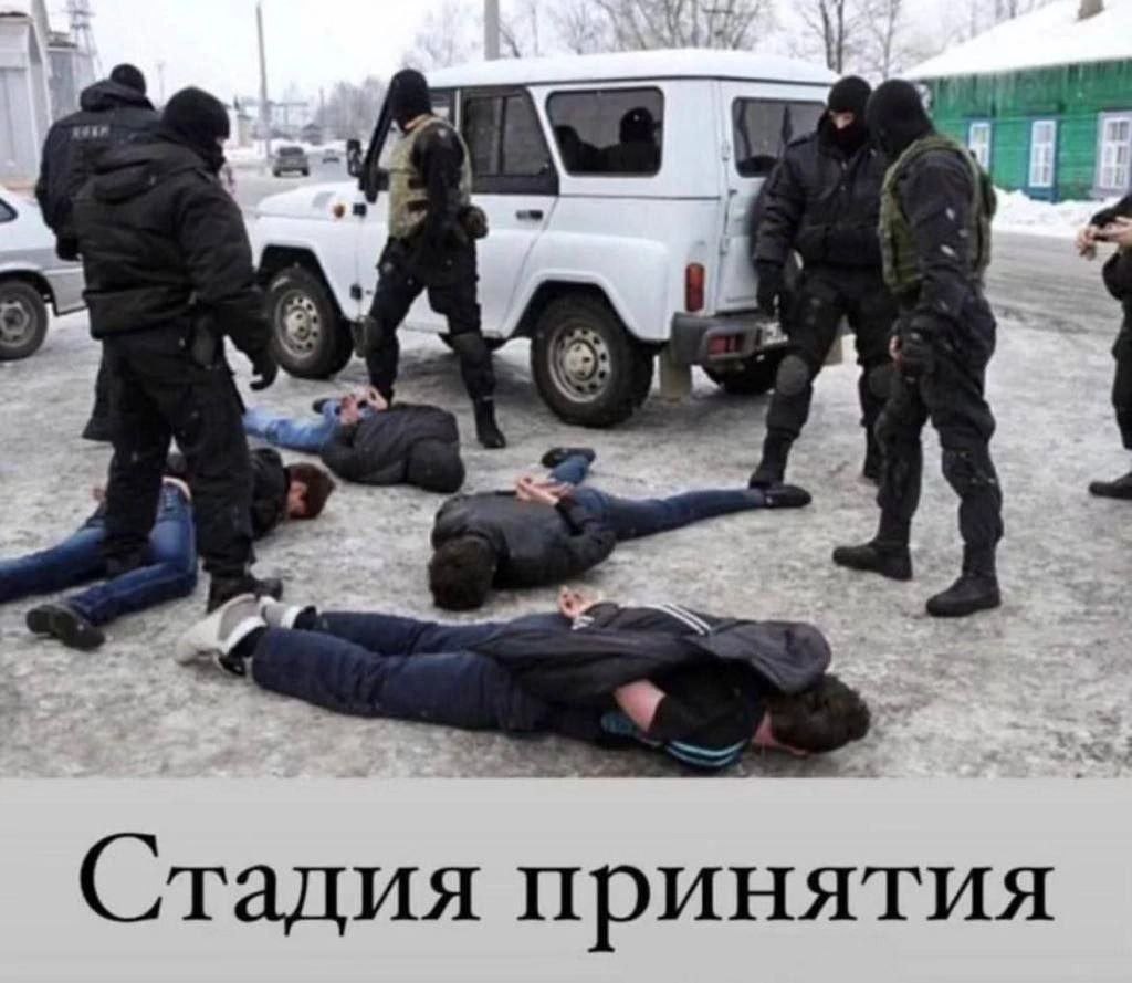 Стадия принятия