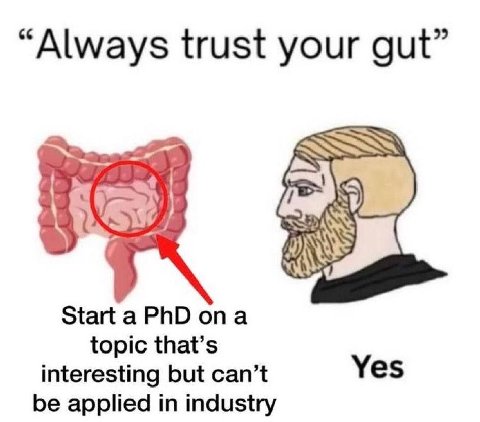 “Always trust your gut” Starta PhD опа topic that’s interesting but can’t Yes be applied in industry
