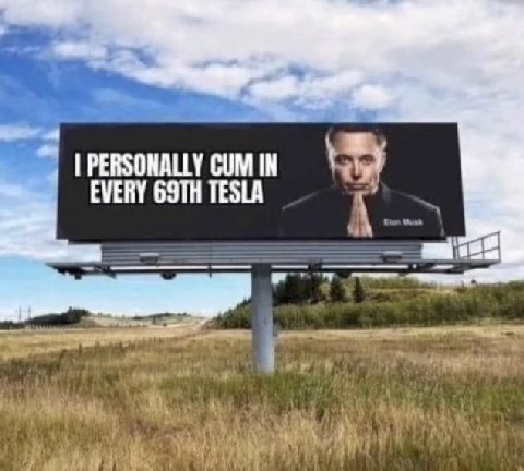 PERSONALLY CUM IN EVERY TESLA