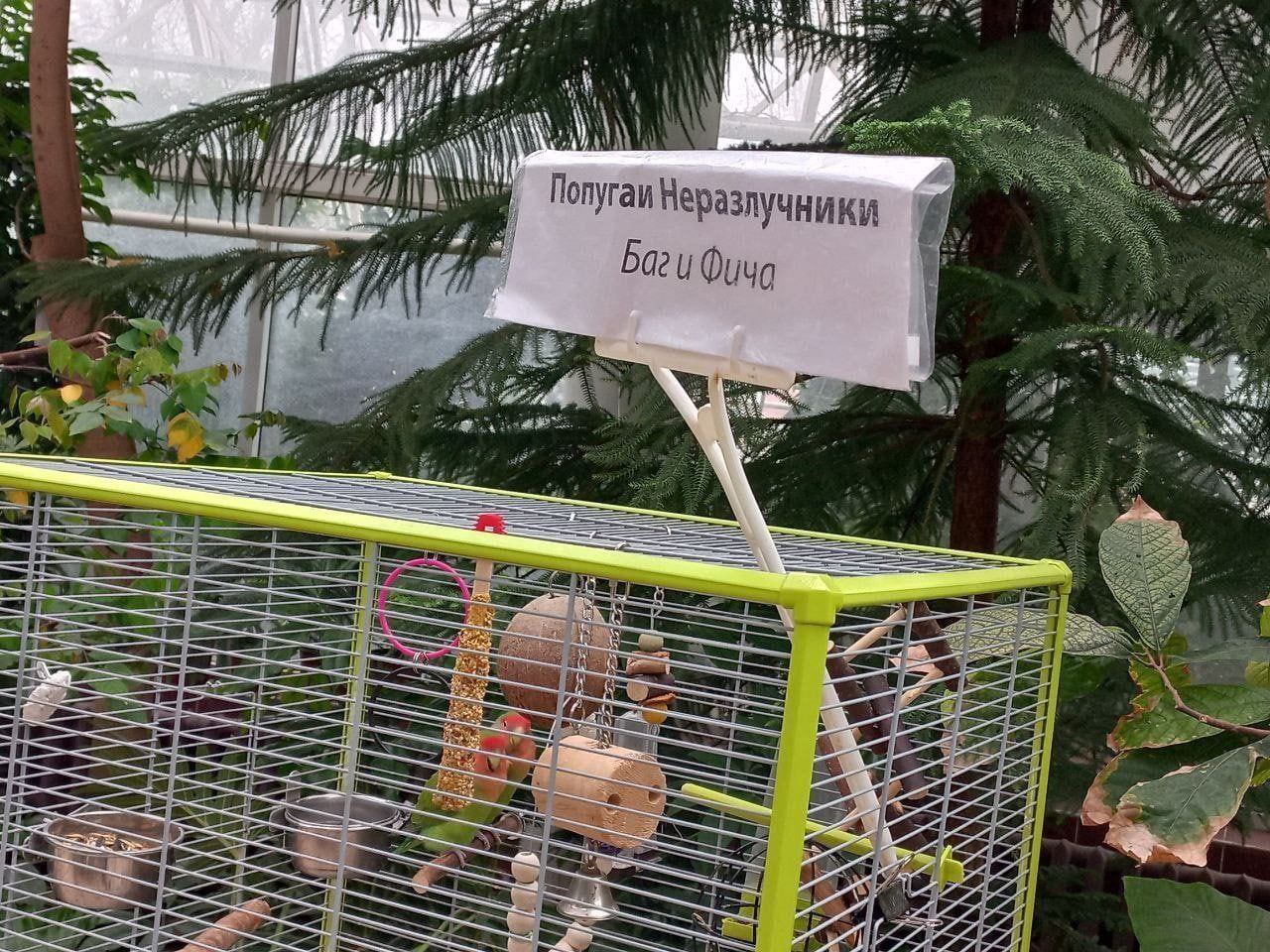 he ЗА! 2 i Баги Ouyg 1 SSS ise